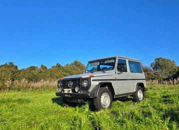 Mercedes-Benz - 300 GD (W460) - 1987