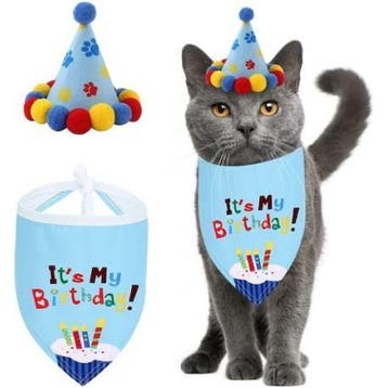 Happy Birthday Cats poezen party pakket 38-delig, Verzenden, Nieuw