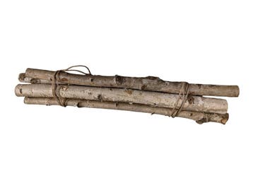 Berkentakken ca. 50 cm, Ophalen of Verzenden, Nieuw