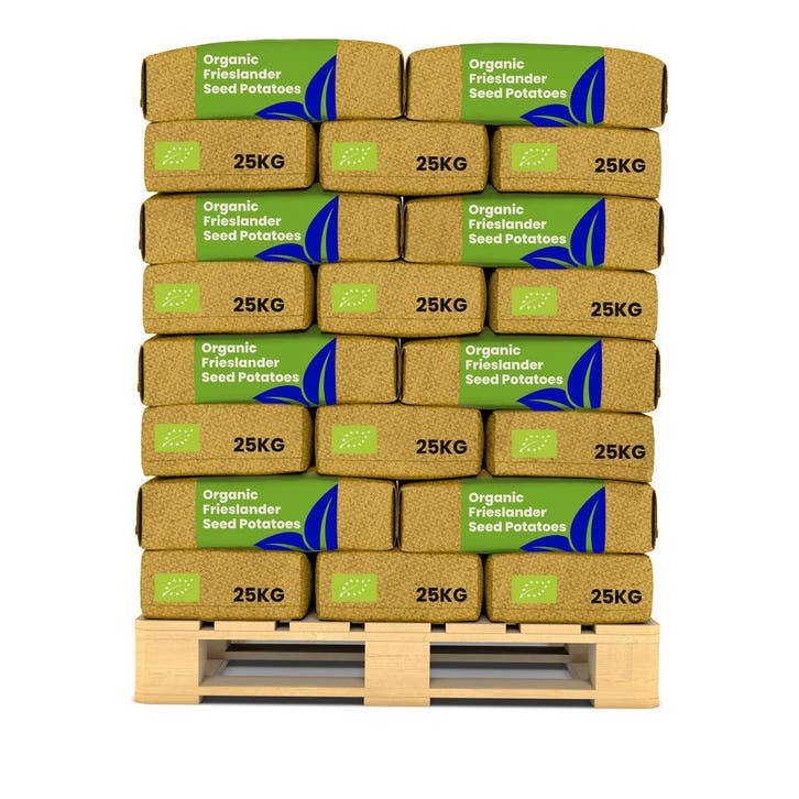 Biologische Pootaardappelen Frieslander A 28/35 (40x = 1000, Tuin en Terras, Bloembollen en Zaden, Gehele jaar, Volle zon, Verzenden