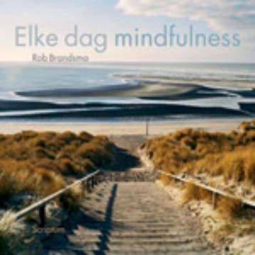 Elke dag mindfulness - Rob Brandsma 9789055947553, Boeken, Verzenden, Zo goed als nieuw, Rob Brandsma