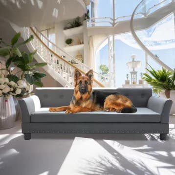 Luxe Hondenbank – Verhoogd Hondenbed Leer en Houten Poten, Verzenden, Nieuw