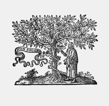 Claude Saumaise - De Usuris Liber (A Book on Usury) FIRST