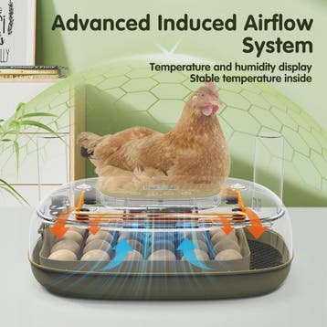 Automatische 24-Eieren Incubator: Temperatuur & Vochtigheid, Dieren en Toebehoren, Verzenden, Nieuw