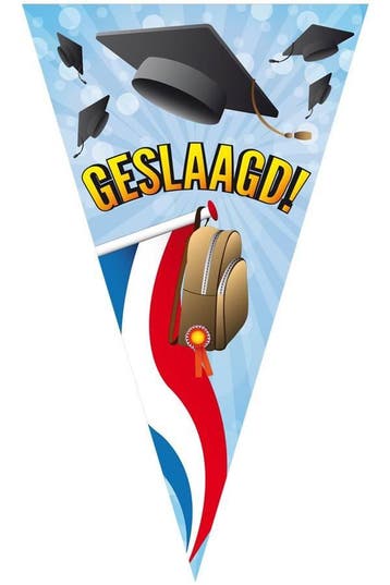 Mega puntvlag geslaagd, Ophalen of Verzenden, Nieuw