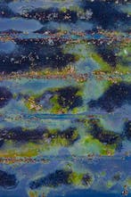 Bernhard Lang - The_Bog_Renatured_10