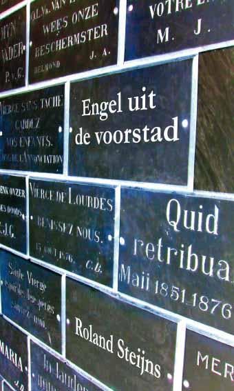 Engel uit de voorstad 9789086664016 Roland Steijns, Verzenden, Zo goed als nieuw, Roland Steijns