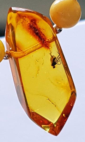 Amber Zeer zeldzame natuurlijke Baltische barnsteen ketting