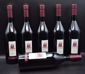 2020 Paolo Caccese, Merlot - Collio DOC - 6 Flessen (0.75, Nieuw