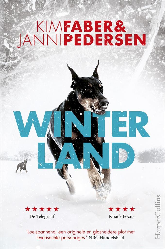 Winterland (9789402706536, Kim Faber), Boeken, Romans, Nieuw, Verzenden