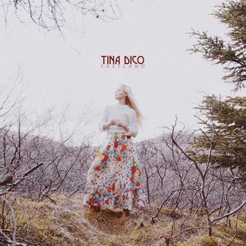 cd - tina dico - Fastland (nieuw), Verzenden, Zo goed als nieuw