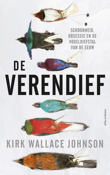 De verendief 9789045030883 Kirk Johnson, Boeken, Verzenden, Gelezen, Kirk Johnson