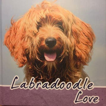 Labradoodle Love - Arienne Heuker of Hoek 9789058216380, Verzenden, Zo goed als nieuw, Arienne Heuker of Hoek