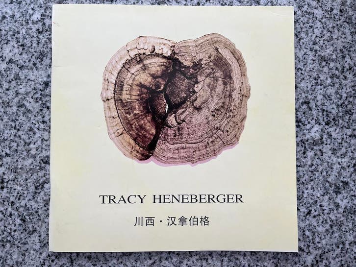 Liaison – Tracy Henegerger, Boeken, Kunst en Cultuur | Beeldend, Gelezen, Beeldhouwkunst, Verzenden