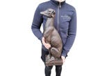 Beeld, XL 55cm Greyhound Dog - 55 cm - Hars - 2026