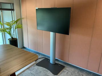 Online veiling: Samsung QM55B 55 inch 4K UHD-display voor