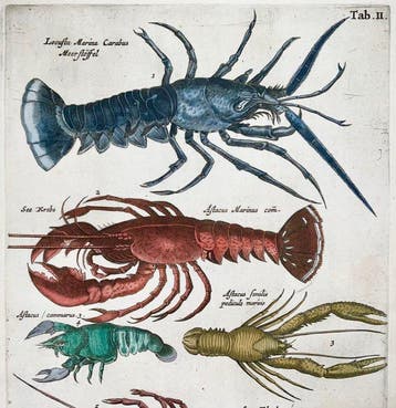 Matthäus Merian (1593-1650) - hand col. engraving, Marine
