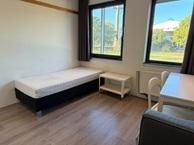 Studio Beukenlaan in Eindhoven, Noord-Brabant, Via bemiddelaar, Eindhoven, Studio