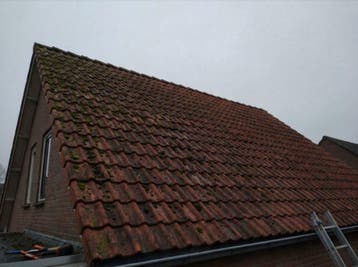 Dakdekker dak ontmossen €8-15 per m² — Tilburg e.o., Garantie, Overige dakdekking