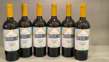 2012 Arínzano Magnitud Chardonnay - Navarra Reserva - 6, Nieuw