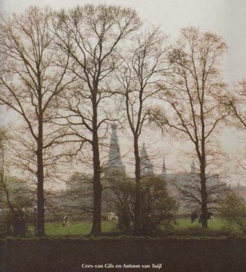 Bomen in Baarle - Lize Stilma 9789090179292, Verzenden, Gelezen, Lize Stilma