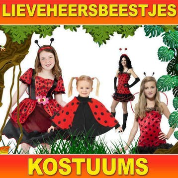 Lieveheersbeestje pak - Lieveheersbeestjes kostuums, Ophalen of Verzenden, Nieuw