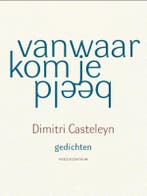 Vanwaar kom je beeld 9789056550769 Dimitri Casteleyn, Verzenden, Zo goed als nieuw, Dimitri Casteleyn
