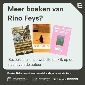 Thuiskomen - Rino Feys 9789464783025, Boeken, Verzenden, Zo goed als nieuw, Rino Feys
