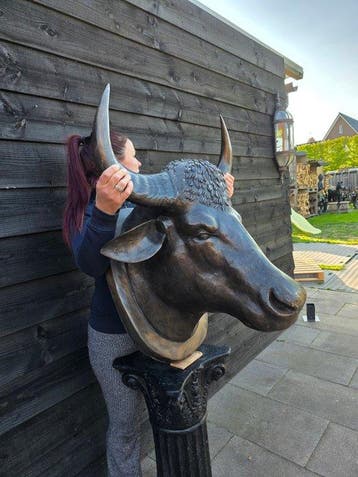 Beeld, XXL Bronze Bull Head - 78 cm - Brons - 2026