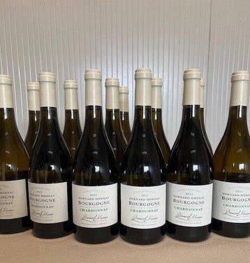 2023 Bernard Moreau, - Bourgogne Chardonnay - 12 Flessen, Verzamelen, Nieuw