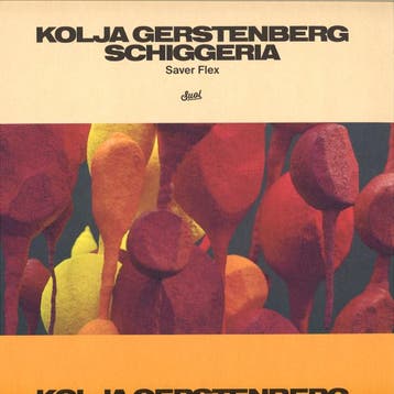 Kolja Gerstenberg / Schiggeria - Saver Flex, Ophalen of Verzenden, Gebruikt