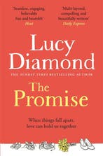 The promise 9781529027044 Lucy Diamond, Boeken, Verzenden, Gelezen, Lucy Diamond