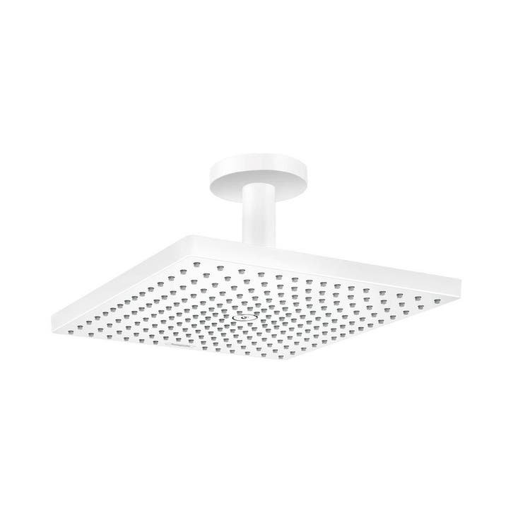 Hoofddouche HansGrohe Raindance E 300 1jet, Doe-het-zelf en Verbouw, Sanitair, Ophalen of Verzenden