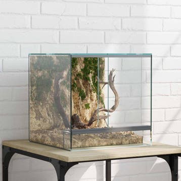 vidaXL Terrarium met opslag Transparant 30 x 30 x 30 cm Glas, Verzenden, Nieuw