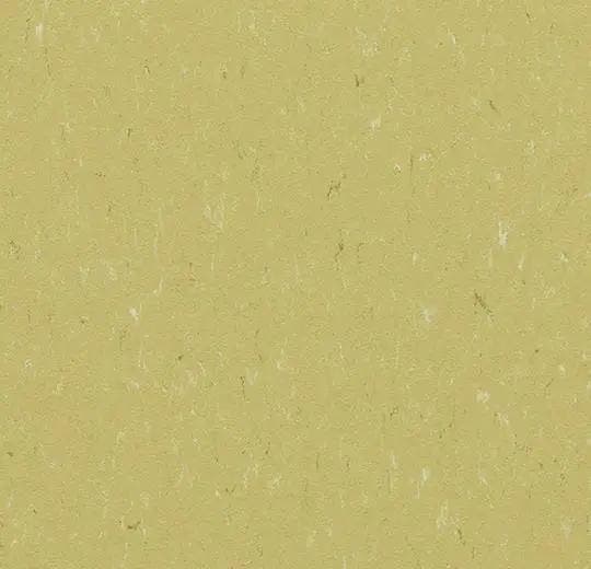 Forbo Marmoleum Piano 3634 meadow, Huis en Inrichting, Stoffering | Vloerbedekking, Verzenden