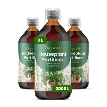 Kamerplanten vloeibare meststof - Set 3x1 liter, Verzenden, Mest