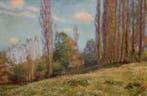 Miquel Soldevila i Valls (1886-1956) - Paisaje, Antiek en Kunst