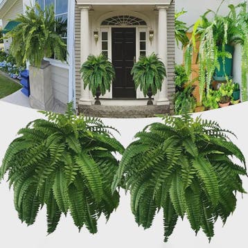 Kunstplant Boston Varen - Levenssechte Kunstvaren, UV-besten, Huis en Inrichting, Kamerplanten, Verzenden