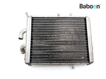 Radiateur Aprilia Leonardo 250 1999-2001 (PD000), Motoren, Verzenden, Gebruikt
