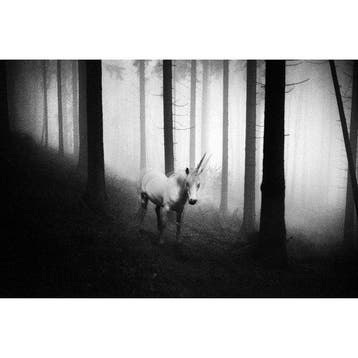 Frank Machalowski - tierwald#157