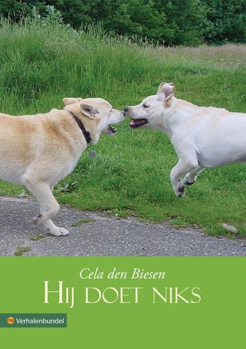 Hij doet niks - Cela den Biesen 9789048409181, Verzenden, Gelezen, Cela den Biesen