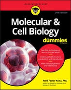 9781119620402 Molecular  Cell Biology For Dummies, Verzenden, Zo goed als nieuw, Rene Fester Kratz
