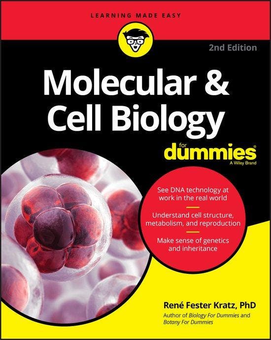 9781119620402 Molecular  Cell Biology For Dummies, Boeken, Studieboeken en Cursussen, Zo goed als nieuw, Verzenden