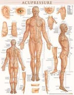 9781423222651 Acupressure-Laminated Vincent Perez, Verzenden, Nieuw, Vincent Perez