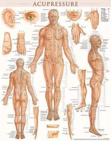 9781423222651 Acupressure-Laminated Vincent Perez, Verzenden, Nieuw, Vincent Perez