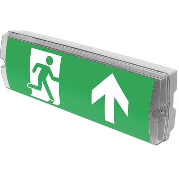 LED Noodverlichting - Pragmi Exto - Opbouw - 3 Watt - 150, Ophalen of Verzenden, Nieuw, Overige fittingen