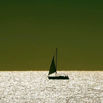 Roberto Cavalli (Italia, 1971) - Somewhere, by the sea /#797