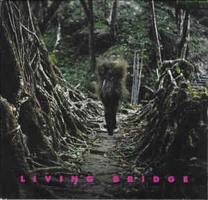cd digi - Various - Living Bridge, Verzenden, Zo goed als nieuw