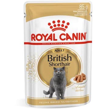 Royal Canin British Shorthair Adult natvoer kattenvoer 12..., Verzenden, Kat