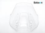 Kuipruit Kawasaki Versys 1000 2021 (KLZ1000E) Large, Motoren, Verzenden, Gebruikt